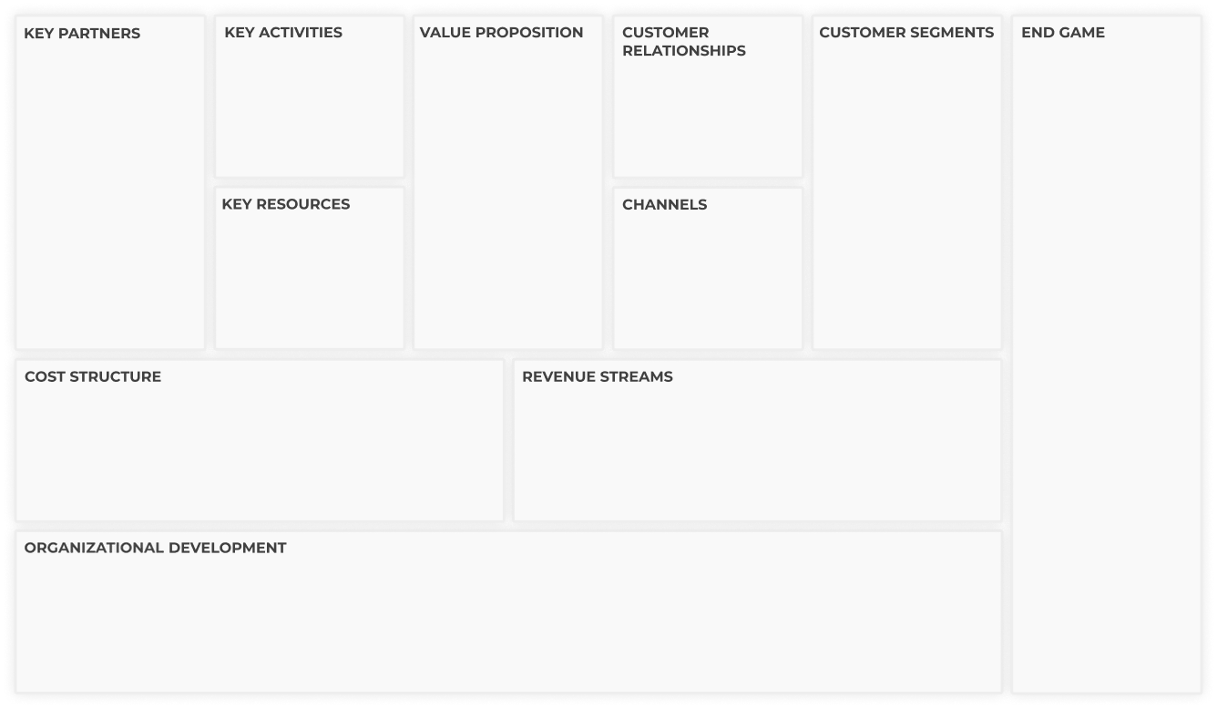 An example enering of the Business Model Sustainability Canvas